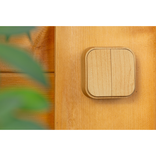 Выключатель двухклавишный - Legrand Quteo - IP20 10А 250В винтовые зажимы накладной монтаж - дерево