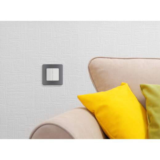 Выключатель двухклавишный - Legrand/Daccord Inspiria - 10АХ 250В безвинтовые зажимы - белый