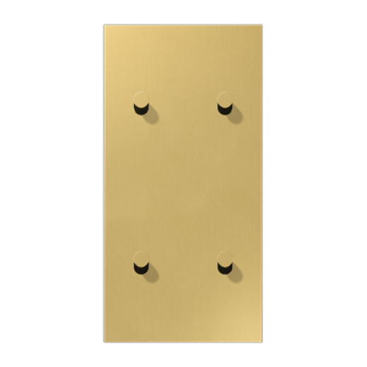 Центральная плата, 2 поста, для вертикальной установки, тумблеры 2+2,конус, металлическое исполнение, латунь классик, серия LS