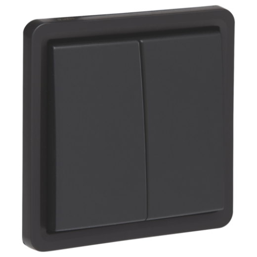 Кнопка 2-клавишная NO or NC, IP55, пруж клеммы, черный