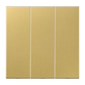 JUNG Латунь Classic Клавиша 3-ая для трёхклавишного переключателя арт. 5306EU