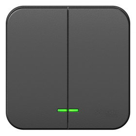 Systeme Electric Blanca наруж Антрацит Выключатель 2-клавишный с подсветкой 10А,250B, изолир. пластина