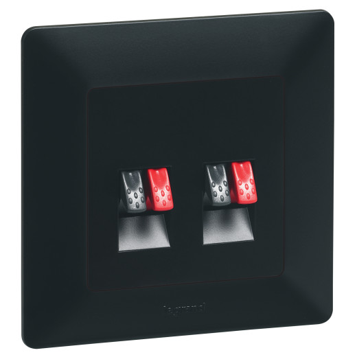 Valena IN'MATIC. Аудиорозетка с пружинными зажимами.Двойная.