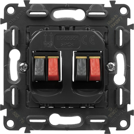 Valena IN'MATIC. Аудиорозетка с пружинными зажимами.Двойная.