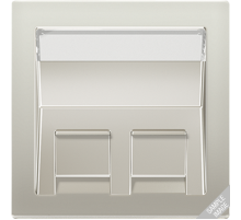 JUNG Накладка для модульных разъемов, латунь Antik