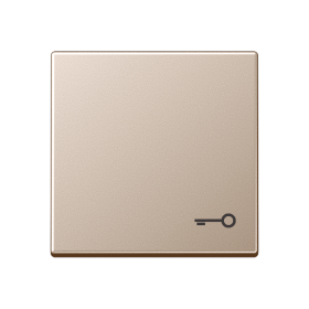 JUNG Клавиша с символом 