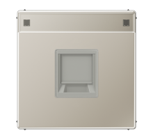 JUNG Плата (фиксация защёлкиванием) с полем для надписи для одного модуля металл нержавеющая сталь