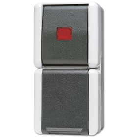 JUNG Комбинация - розетка и контрольный выключатель для накладного монтажа IP44