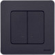 Выключатель двухклавишный с подсветкой/индикацией - Legrand/Daccord Inspiria - 10АХ 250В безвинтовые зажимы - антрацит