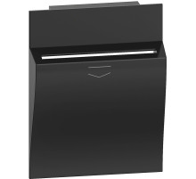 BT Living now Черный Лицевая панель для карточного выключателя 2 мод.