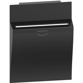 BT Living now Черный Лицевая панель для карточного выключателя 2 мод.