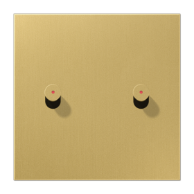 JUNG Центральная плата, 1 пост, 2 тумблера, конус с окошком металлическое исполнение латунь классик серия LS