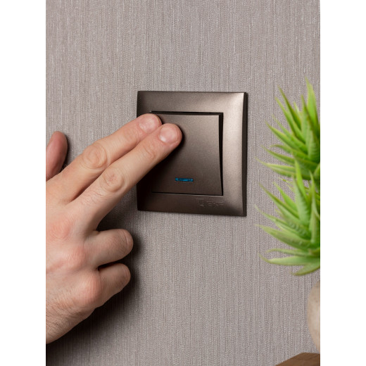 Валенсия лицевая панель выключателя 1-кл. с индикатором 10А графит EKF PROxima