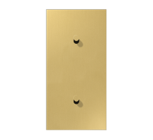 JUNG LS1912 Латунь классик Центральная плата, 2 поста, для вертикальной установки, тумблеры 1+1,конус; метал. исполнение