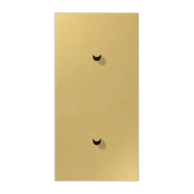 JUNG LS1912 Латунь классик Центральная плата, 2 поста, для вертикальной установки, тумблеры 1+1,конус; метал. исполнение