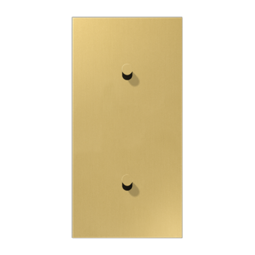 Центральная плата, 2 поста, для вертикальной установки, тумблеры 1+1, конус, металл, латунь classic, LS1912
