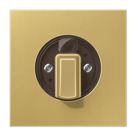 JUNG Накладка поворотного механизма классик