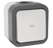 IEK TORS Переключатель однокл. с ин. 10А IP55 TS202 белый