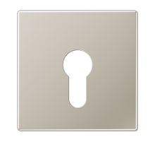 JUNG Крышка к выключателю для замочного механизма благородная сталь