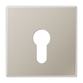JUNG Крышка к выключателю для замочного механизма благородная сталь