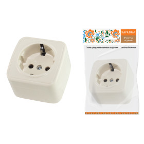TDM Розетка 2П+З открытой установки IP20 16А, сл. кость 