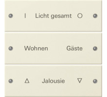 Gira Instabus System 55 Гравировка Набор клавиш 3-местн.