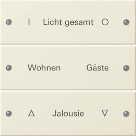 Gira Instabus System 55 Гравировка Набор клавиш 3-местн.