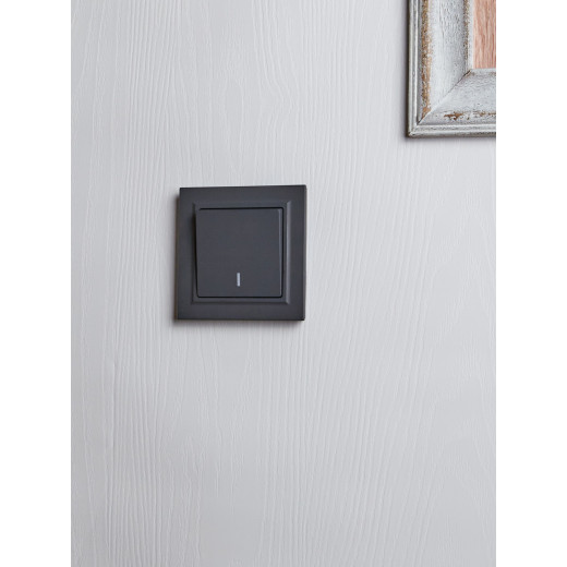 BRITE Выключ. 1-кл. прох. с инд. 10А ВС10-1-7-БрГ граф. IEK