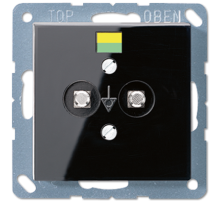 JUNG Розетка выравнивания потенциалов дюропласт черная