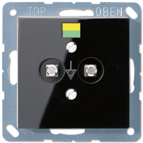 JUNG Розетка выравнивания потенциалов дюропласт черная