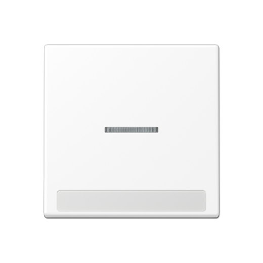 Клавиша с полем для надписи