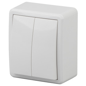 ЭРА Выключатель Эксперт 11-1204-01 двойной 10АХ-250В IP20 ОУ белый