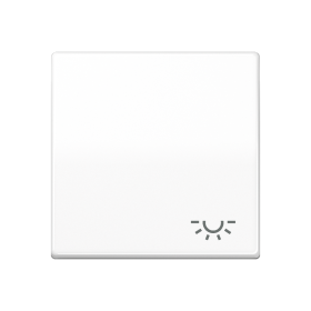 JUNG Клавиша с символом 