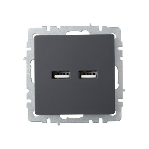 BRITE Роз. USB A+A 3,1А РЮ10-1-БрГ граф. IEK