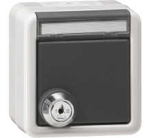 Gira Розетка с запирающейся на ключ крышкой IP44 (однотипные замыкания)