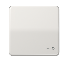 JUNG CD 500/CD plus Светло-серая Клавиша 1-ая с символом КЛЮЧ