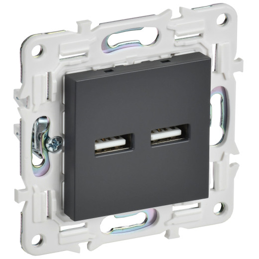 SKANDY Роз. USB A+A 3,1А SK-R15T титан IEK