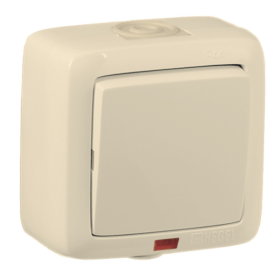 Hegel Альфа IP44 наруж Слоновая кость ВА10-212-01 Выключатель 1-клавишный с индикацией, брызгозащищенный