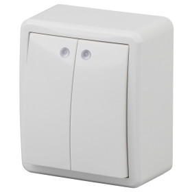 ЭРА Выключатель Эксперт 11-1205-01 двойной с подсветкой 10АХ-250В IP20 ОУ белый