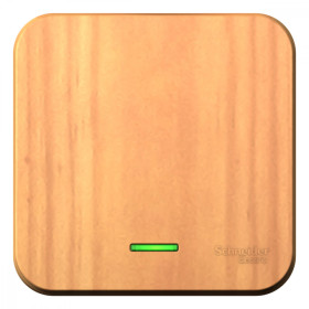 Systeme Electric Blanca наруж Ясень Выключатель 1-клавишный с подсветкой, 10А, 250B