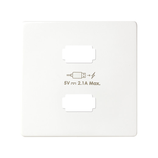 82 Detail Белый Накладка для зарядного устройства 2*USB