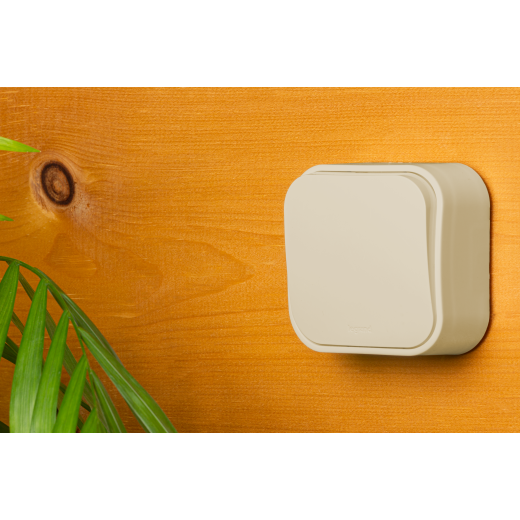Выключатель одноклавишный - Legrand Quteo - IP20 10А 250В винтовые зажимы накладной монтаж - слоновая кость