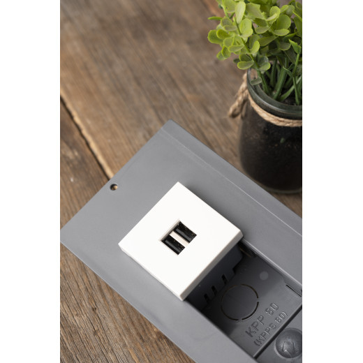 Розетка USB A+A, 2.1А, 2 гнезда, без индикатора EKF