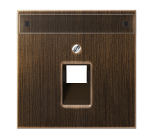 JUNG крышка для модульных разъемов, латунь Antik