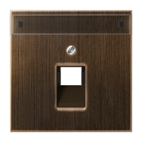 JUNG крышка для модульных разъемов, латунь Antik