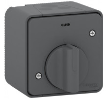 Schneider Electric Mureva Styl наруж Антрацит Выключатель с таймером (реле времени), IP55