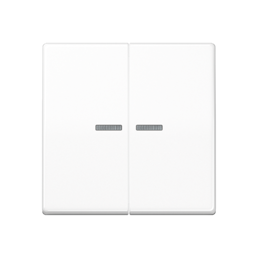 Двойная клавиша с окошками для балансирных механизмов выключателей (кнопок), в комплекте с AS90-5HP (крепежный элемент), возможно IP44, дюропласт, белый, AS500