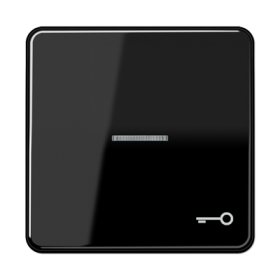 JUNG CD 500/CD plus Черная Клавиша 1-ая с/п с символом КЛЮЧ