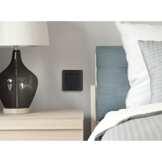 Выключатель одноклавишный - Legrand/Daccord Inspiria - 10АХ 250В безвинтовые зажимы - антрацит