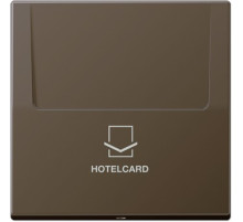 JUNG Накладка-картодержатель для балансирных механизмов 531U, 532U, 533U, 534U термопласт латунь antik Messing